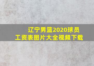 辽宁男篮2020球员工资表图片大全视频下载