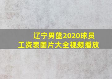 辽宁男篮2020球员工资表图片大全视频播放