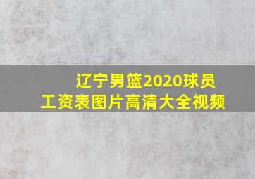 辽宁男篮2020球员工资表图片高清大全视频