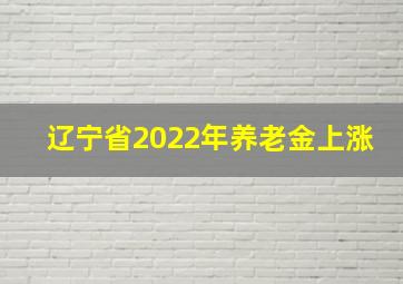 辽宁省2022年养老金上涨