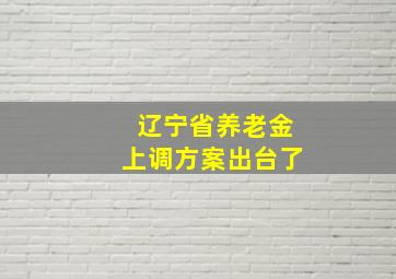 辽宁省养老金上调方案出台了