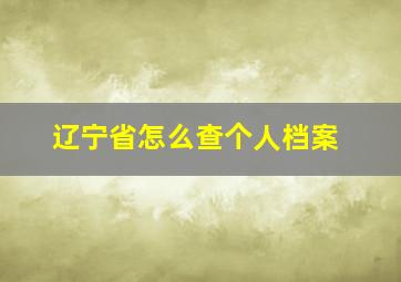 辽宁省怎么查个人档案