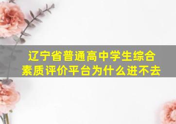 辽宁省普通高中学生综合素质评价平台为什么进不去