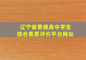 辽宁省普通高中学生综合素质评价平台网址