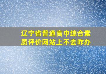 辽宁省普通高中综合素质评价网站上不去咋办