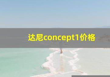 达尼concept1价格