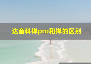 达音科禅pro和禅的区别