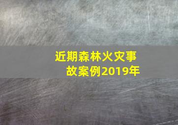 近期森林火灾事故案例2019年