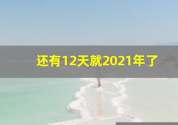 还有12天就2021年了