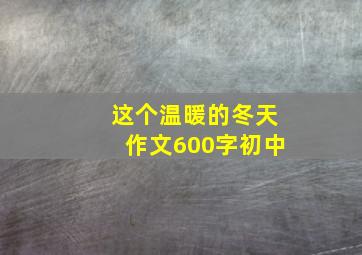 这个温暖的冬天作文600字初中