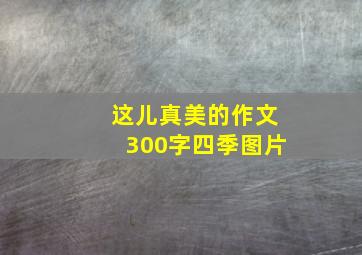 这儿真美的作文300字四季图片