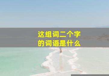 这组词二个字的词语是什么