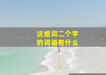 这组词二个字的词语有什么