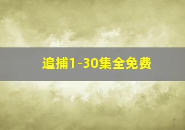 追捕1-30集全免费