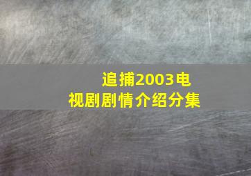 追捕2003电视剧剧情介绍分集