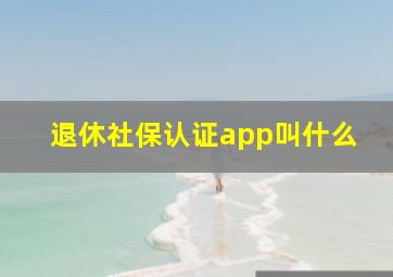 退休社保认证app叫什么