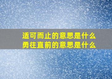 适可而止的意思是什么勇往直前的意思是什么