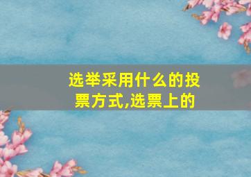 选举采用什么的投票方式,选票上的