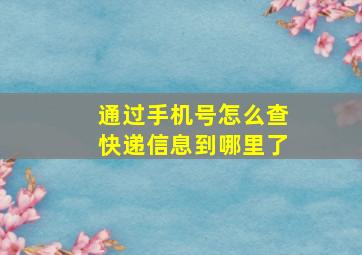 通过手机号怎么查快递信息到哪里了