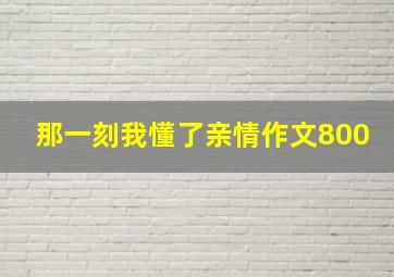 那一刻我懂了亲情作文800