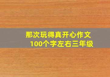 那次玩得真开心作文100个字左右三年级