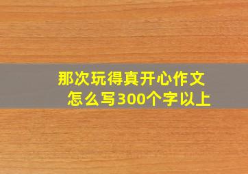 那次玩得真开心作文怎么写300个字以上