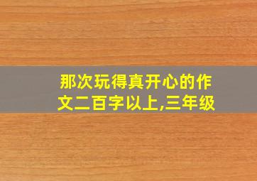 那次玩得真开心的作文二百字以上,三年级