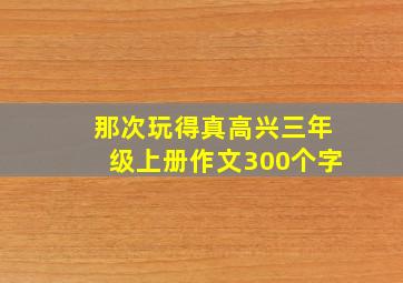 那次玩得真高兴三年级上册作文300个字