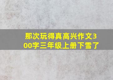 那次玩得真高兴作文300字三年级上册下雪了