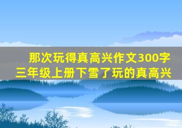 那次玩得真高兴作文300字三年级上册下雪了玩的真高兴