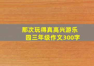 那次玩得真高兴游乐园三年级作文300字