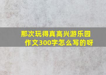 那次玩得真高兴游乐园作文300字怎么写的呀