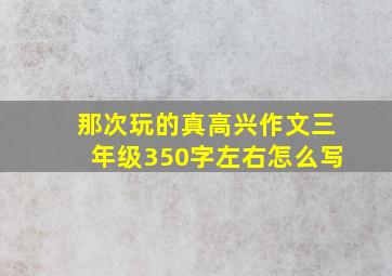 那次玩的真高兴作文三年级350字左右怎么写