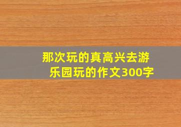 那次玩的真高兴去游乐园玩的作文300字