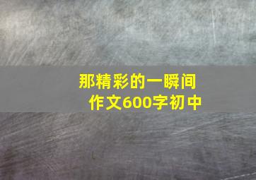 那精彩的一瞬间作文600字初中