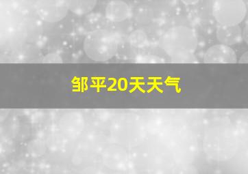 邹平20天天气