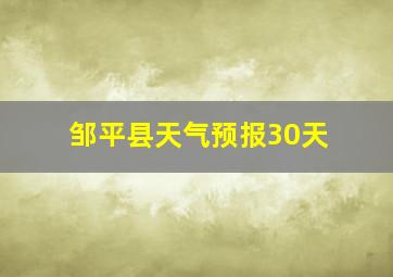 邹平县天气预报30天