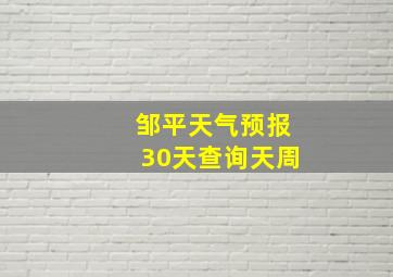 邹平天气预报30天查询天周