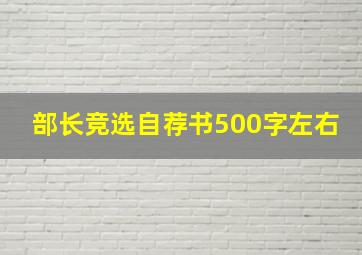 部长竞选自荐书500字左右