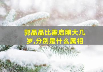 郭晶晶比霍启刚大几岁,分别是什么属相