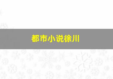 都市小说徐川