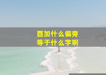 酉加什么偏旁等于什么字啊