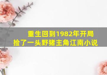 重生回到1982年开局捡了一头野猪主角江南小说