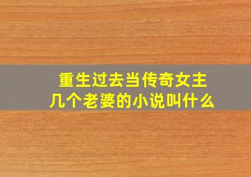 重生过去当传奇女主几个老婆的小说叫什么