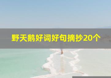 野天鹅好词好句摘抄20个