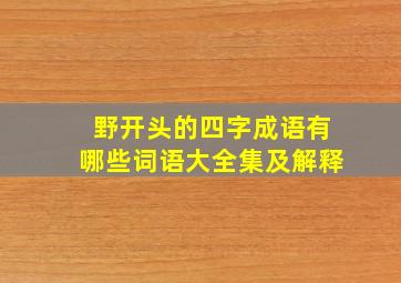 野开头的四字成语有哪些词语大全集及解释