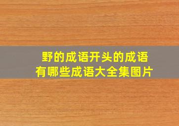 野的成语开头的成语有哪些成语大全集图片