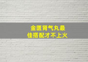 金匮肾气丸最佳搭配才不上火