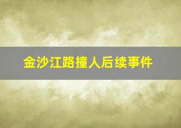 金沙江路撞人后续事件