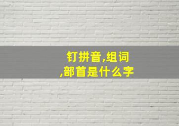 钉拼音,组词,部首是什么字